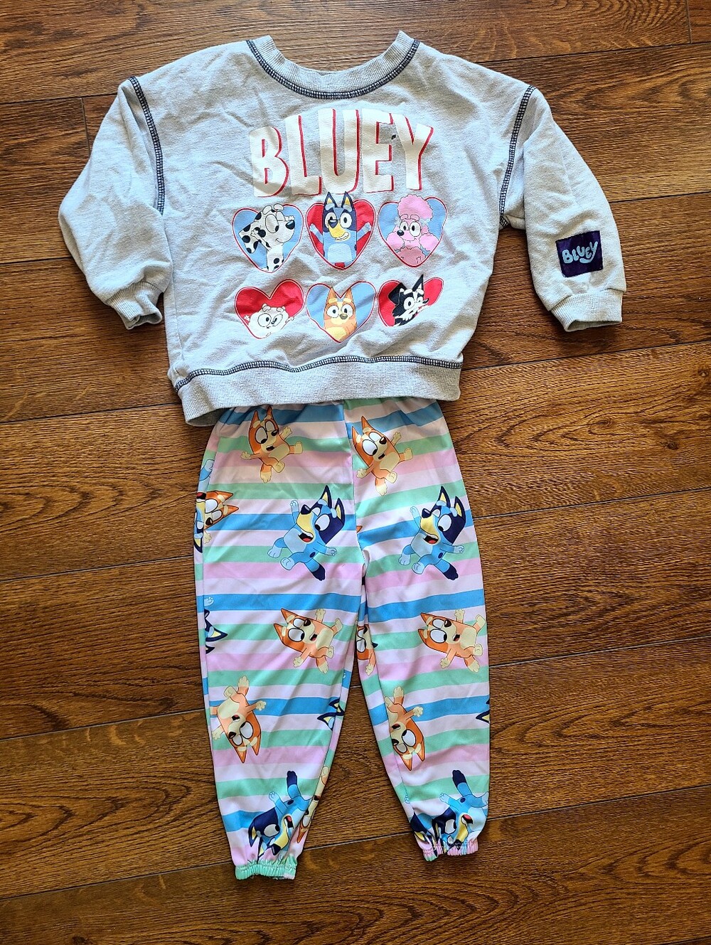Bluey Girls 2 Piece Outfit Set Sweatshirt Jogger Pants Size 3T